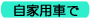 ƗpԂ